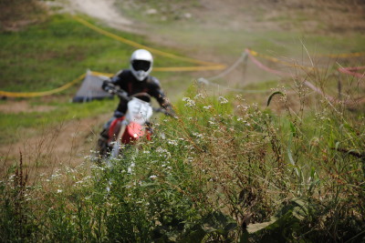 img0297.jpg