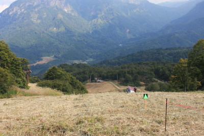 img0137.jpg