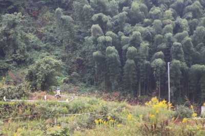 img0310.jpg