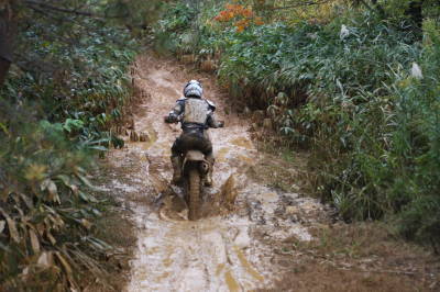 img0439.jpg