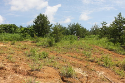 img0070.jpg