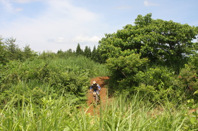img0072.jpg