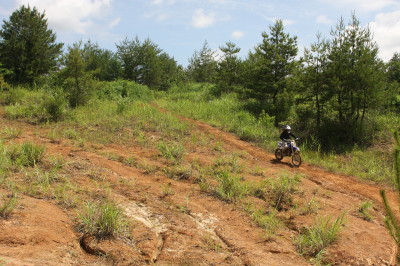 img0080.jpg