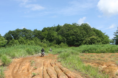 img0081.jpg