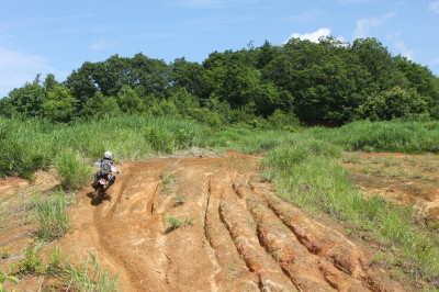 img0085.jpg