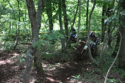 img0109.jpg