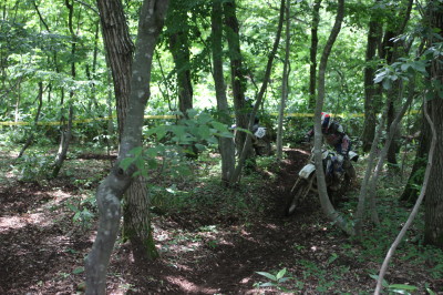 img0110.jpg