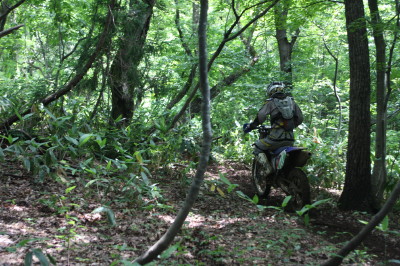 img0114.jpg