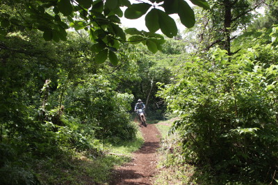 img0119.jpg