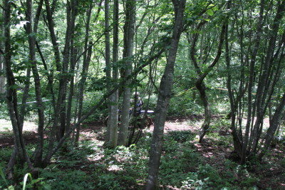 img0123.jpg