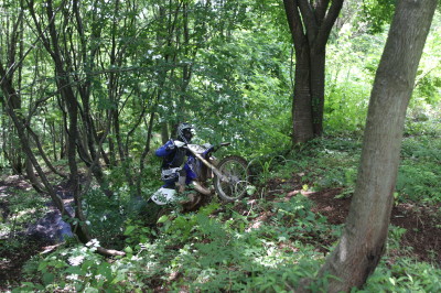 img0125.jpg