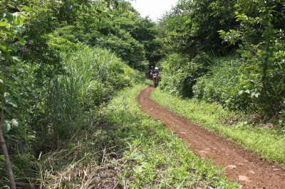 img0129.jpg