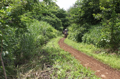 img0130.jpg