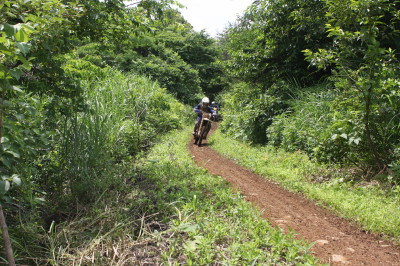 img0131.jpg