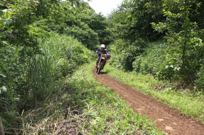img0132.jpg
