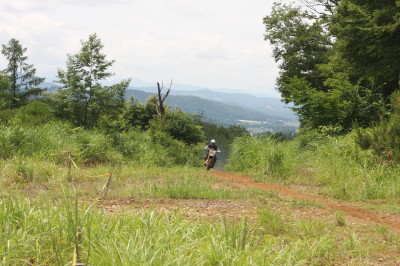 img0196.jpg