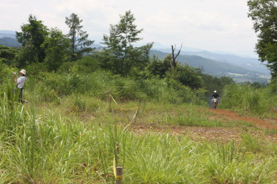 img0203.jpg