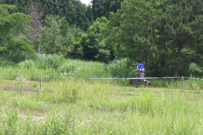 img0240.jpg