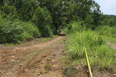 img0310.jpg