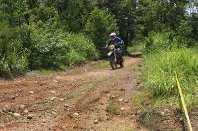 img0311.jpg
