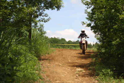 img0317.jpg
