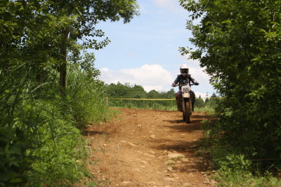 img0318.jpg