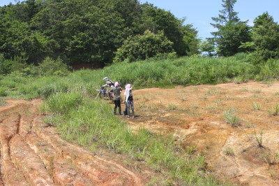 img0340.jpg
