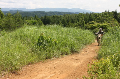 img0350.jpg