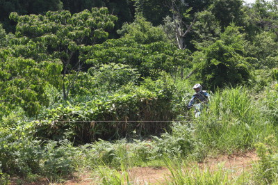 img0362.jpg