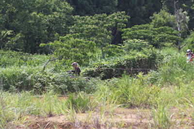 img0375.jpg