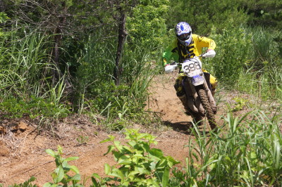 img0377.jpg