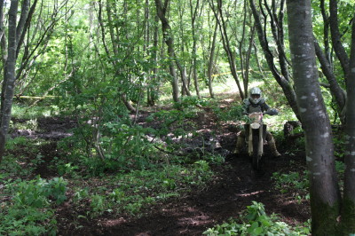 img0465.jpg