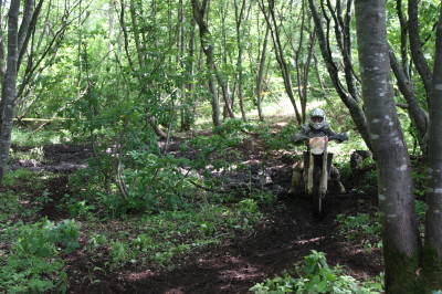 img0466.jpg