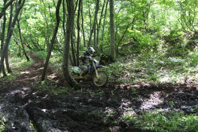 img0467.jpg