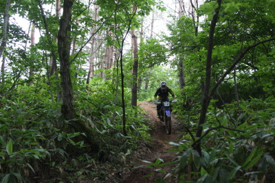img0156.jpg