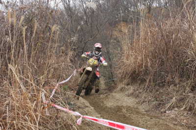 img0313.jpg