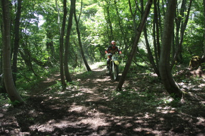 img0197.jpg