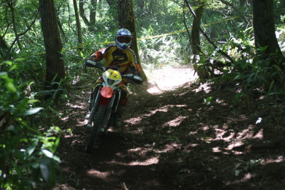 img0237.jpg