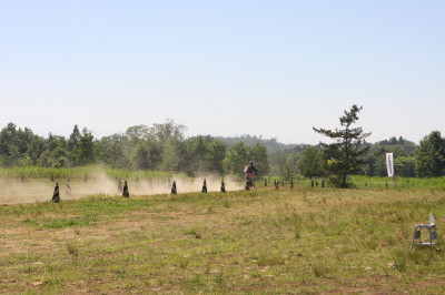 img0499.jpg