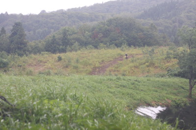 img0268.jpg