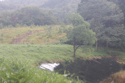 img0269.jpg