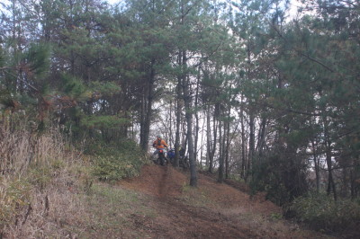 img0372.jpg
