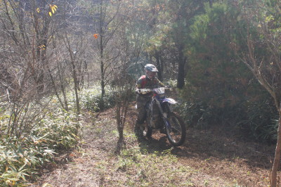 img0395.jpg