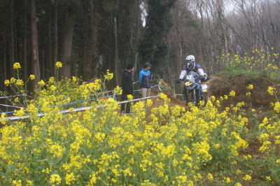 img0053.jpg