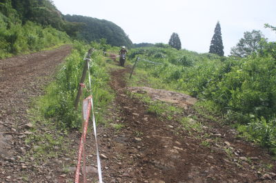 img0237.jpg