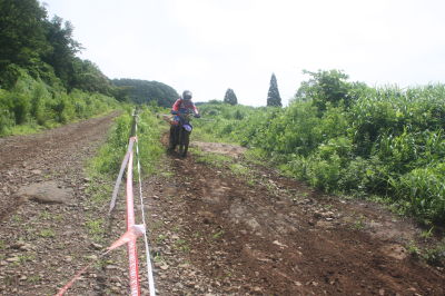 img0339.jpg