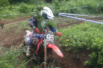 img0375.jpg