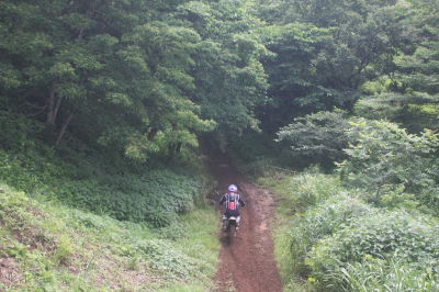 img0523.jpg