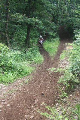 img0665.jpg