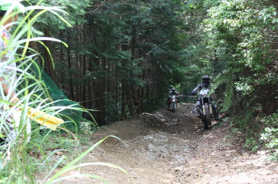 img0261.jpg